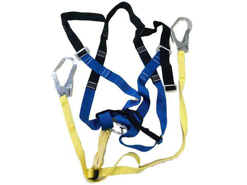 Safety harness with lanyard